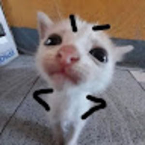 Meet your Posher, Freeman